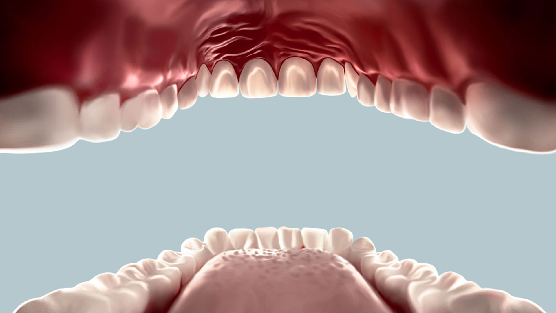 Proceso de regeneración de las encías